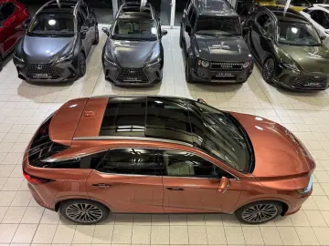 Lexus RX 450  - LUXURY-PANO.-MARK LEV-360 CAM