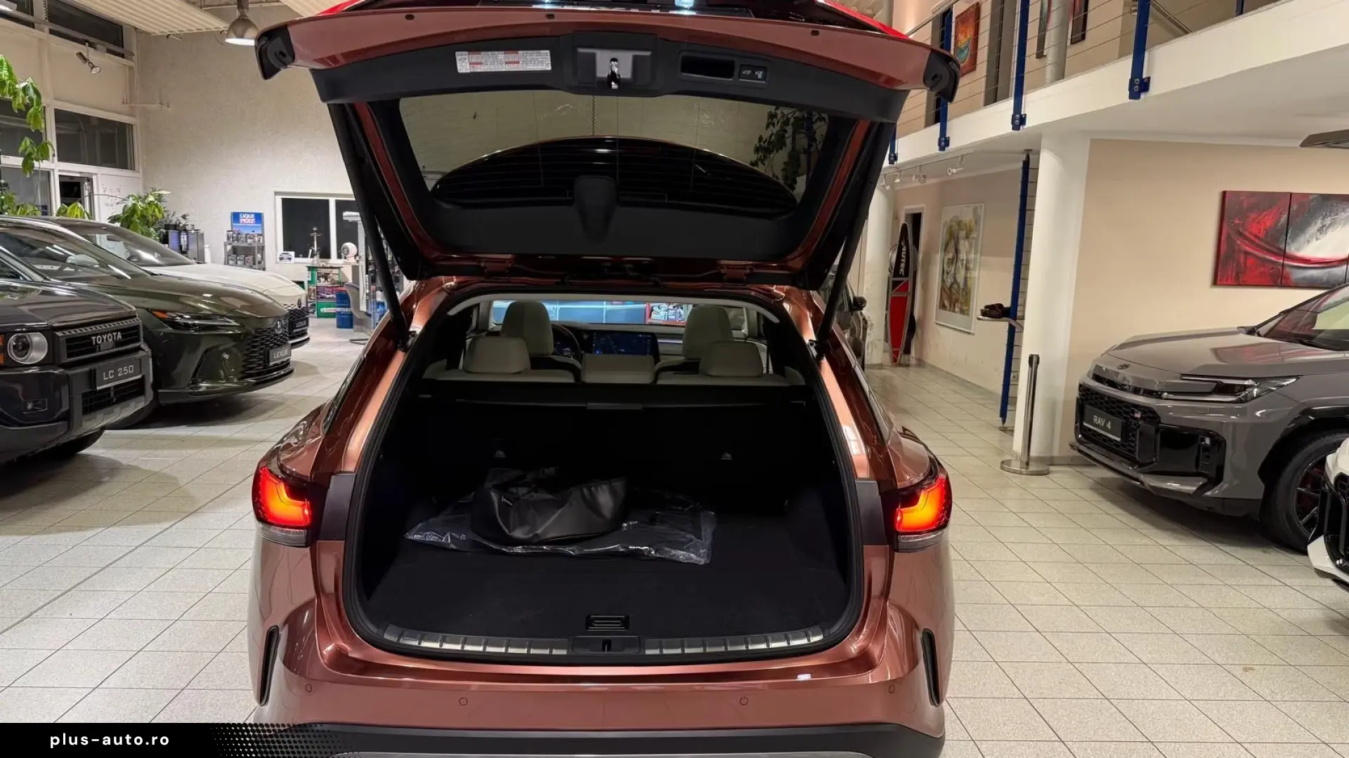 Lexus RX 450  - LUXURY-PANO.-MARK LEV-360 CAM
