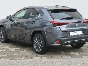 LEXUS UX 250h F SPORT Design