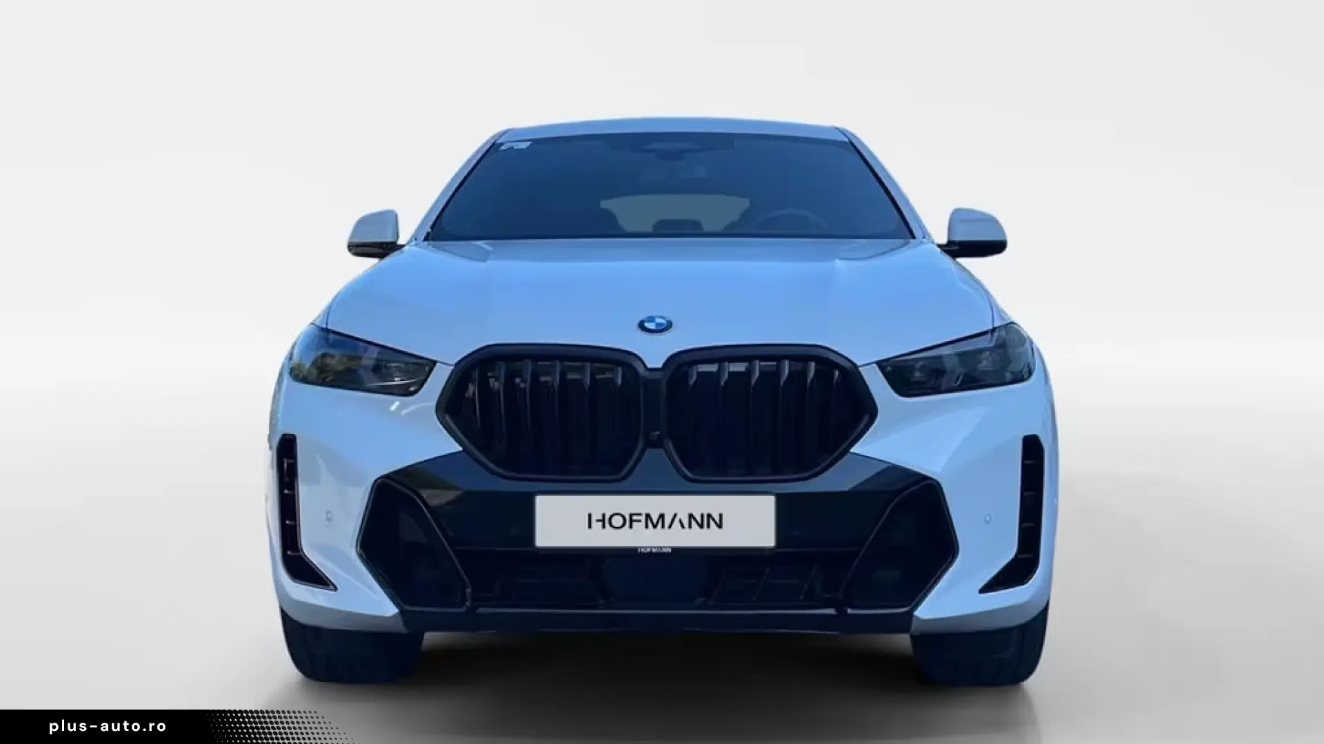 BMW X6 xDrive30d M Sport Pro AHK ACC Pano Standhzg