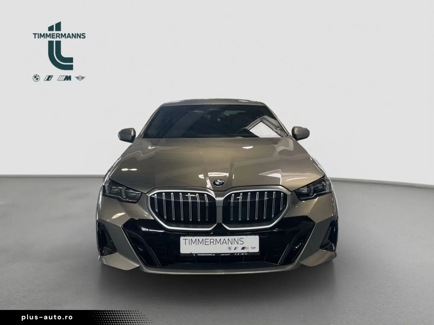 BMW 520i M-Sport DrivAssPlus KomfSiz StHz. AHK
