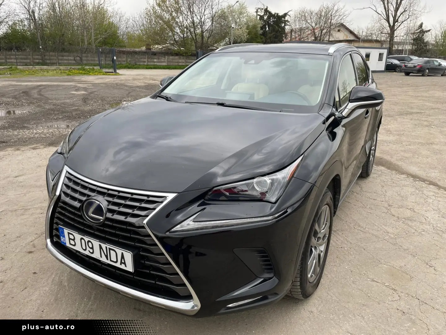Lexus NX 300h e-Four 2019