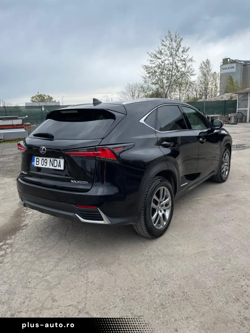 Lexus NX 300h e-Four 2019