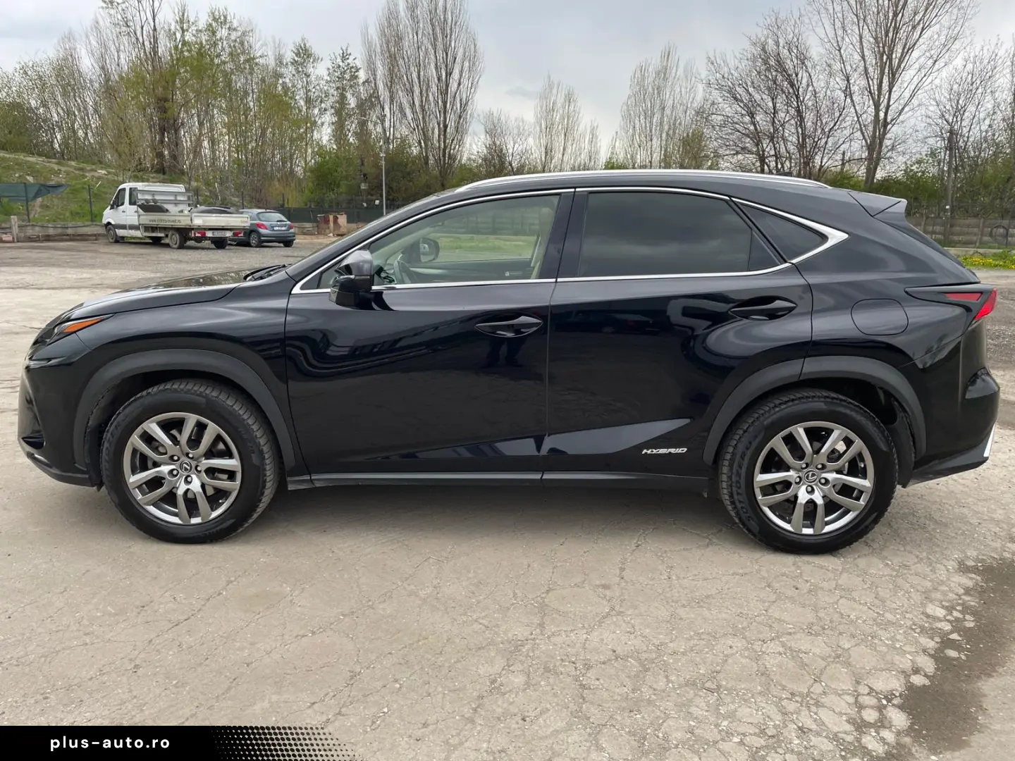 Lexus NX 300h e-Four 2019
