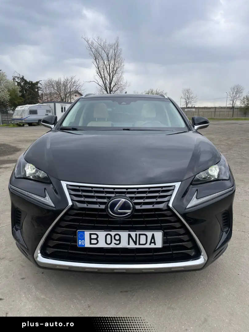 Lexus NX 300h e-Four 2019