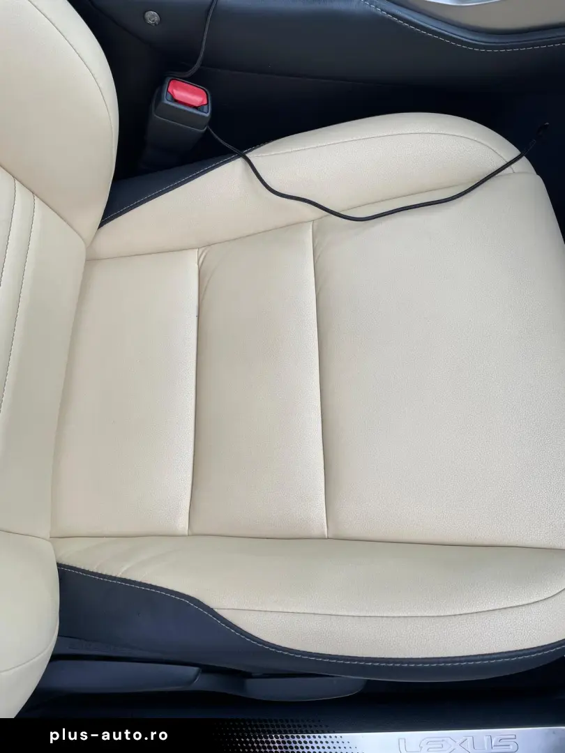 Lexus NX 300h e-Four 2019