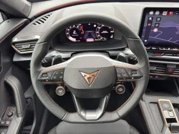 Cupra Formentor VZ MATT 4x4 Matrix Pano AHK
