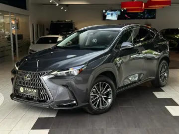 LEXUS NX 350 h Business Line Leder Kamera ACC