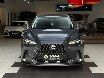 LEXUS NX 350 h Business Line Leder Kamera ACC