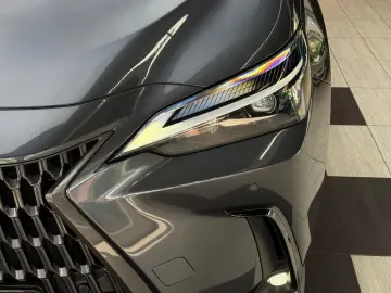 LEXUS NX 350 h Business Line Leder Kamera ACC