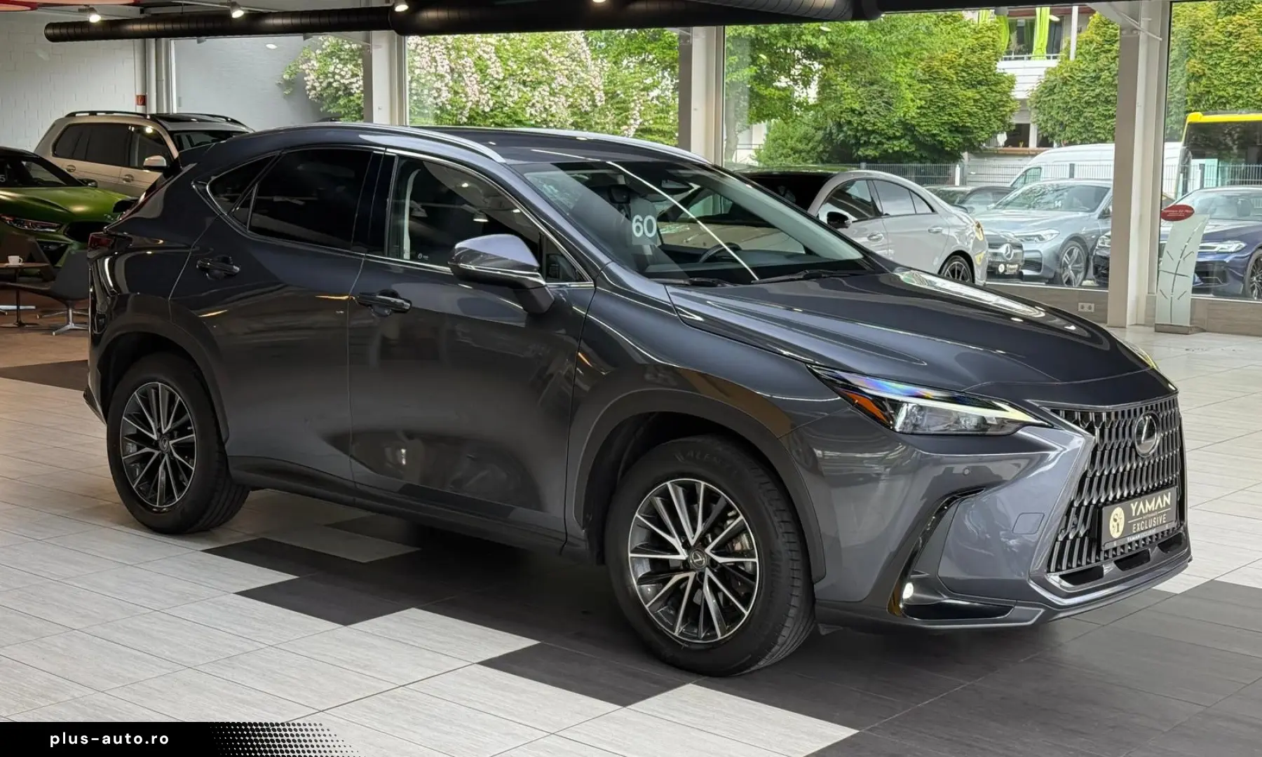 LEXUS NX 350 h Business Line Leder Kamera ACC