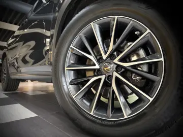 LEXUS NX 350 h Business Line Leder Kamera ACC