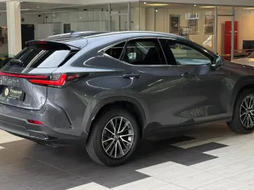 LEXUS NX 350 h Business Line Leder Kamera ACC