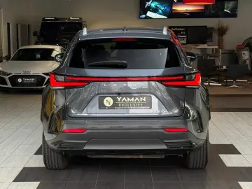 LEXUS NX 350 h Business Line Leder Kamera ACC
