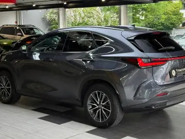 LEXUS NX 350 h Business Line Leder Kamera ACC