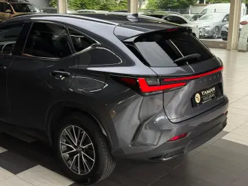 LEXUS NX 350 h Business Line Leder Kamera ACC