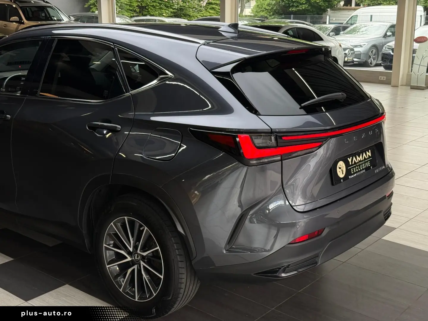 LEXUS NX 350 h Business Line Leder Kamera ACC