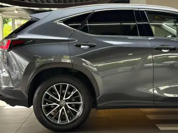 LEXUS NX 350 h Business Line Leder Kamera ACC