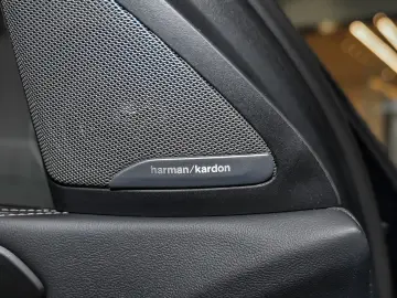 BMW X6 xDrive30d M Sport Pro PANO HUD ACC AHK RFK NA