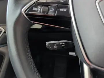 AUDI e-tron Sportback 55 S-Line Leder Matrix Pano AHK