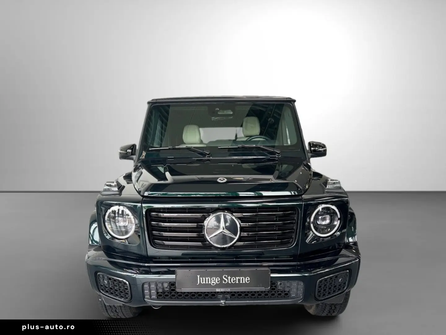 MERCEDES-BENZ G 450 d Exclusive AHK Technik SHD Nigh&hellip;