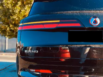 925 CP - BYD Denza N9 DM Flagship1