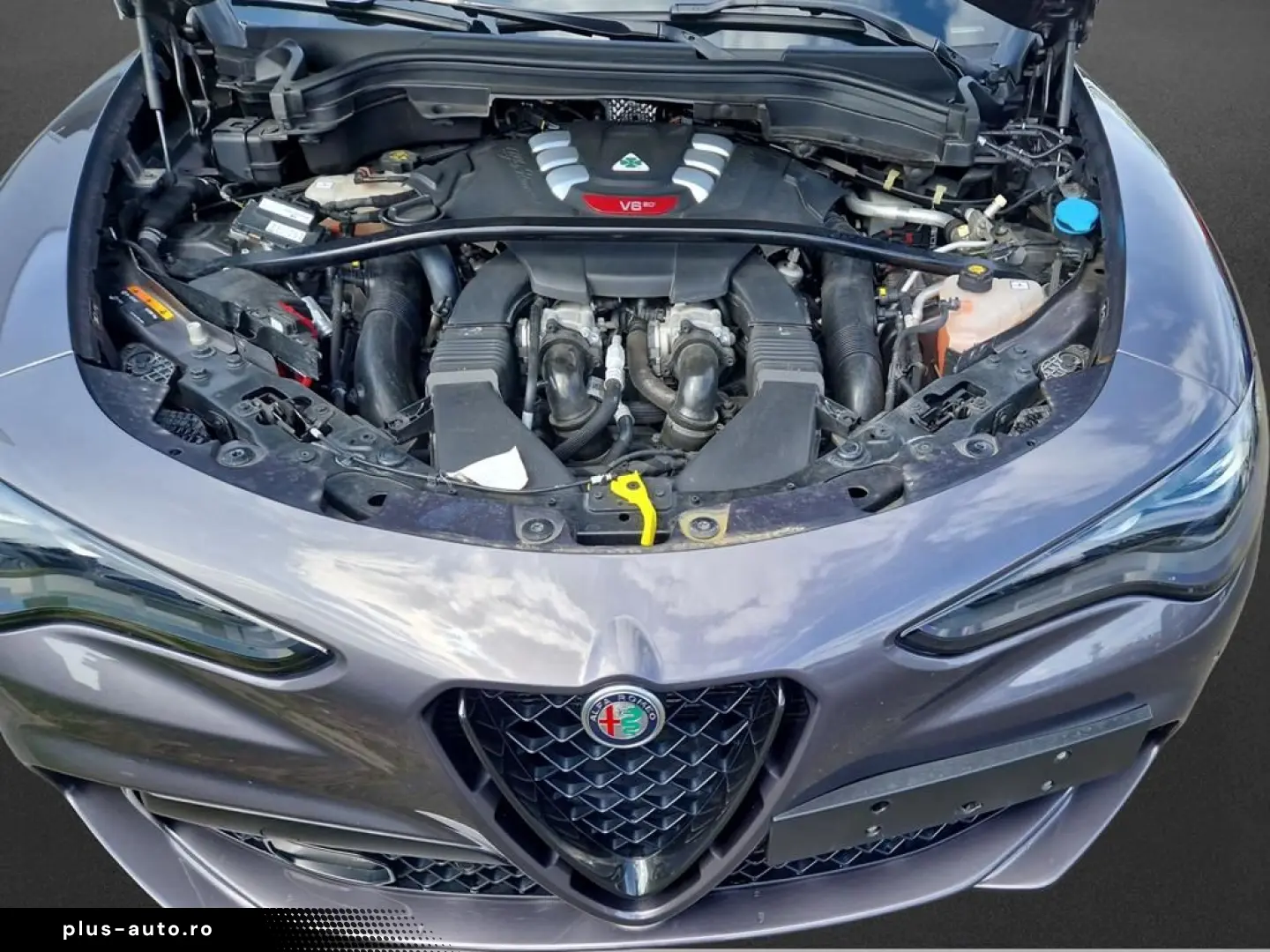 ALFA ROMEO Stelvio Quadrifoglio 2.9 V6
