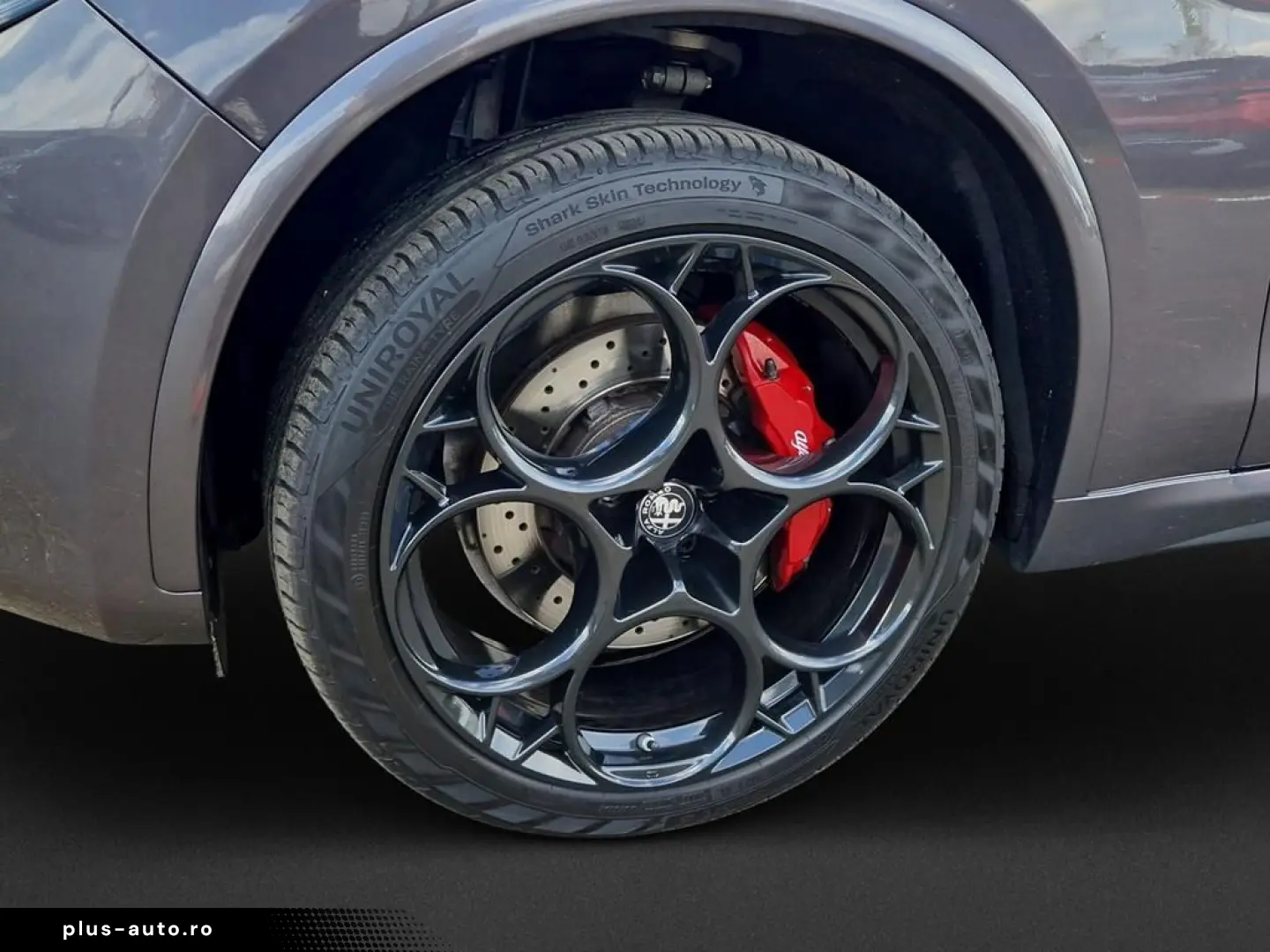 ALFA ROMEO Stelvio Quadrifoglio 2.9 V6