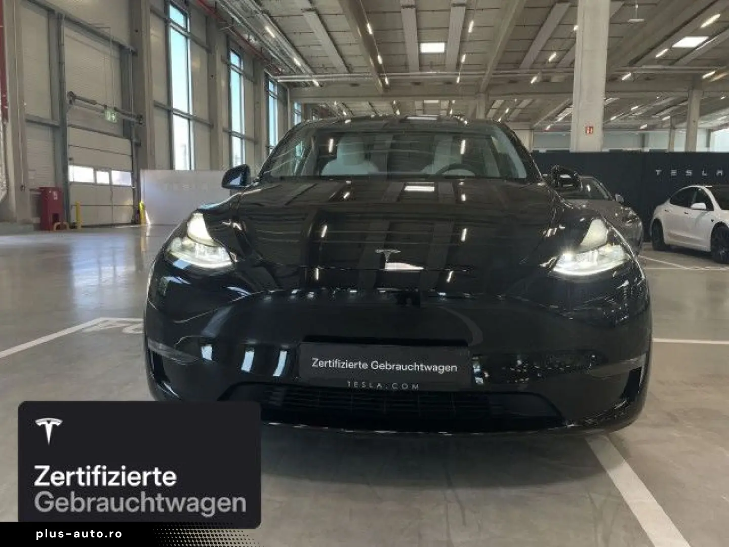 TESLA Model Y Performance