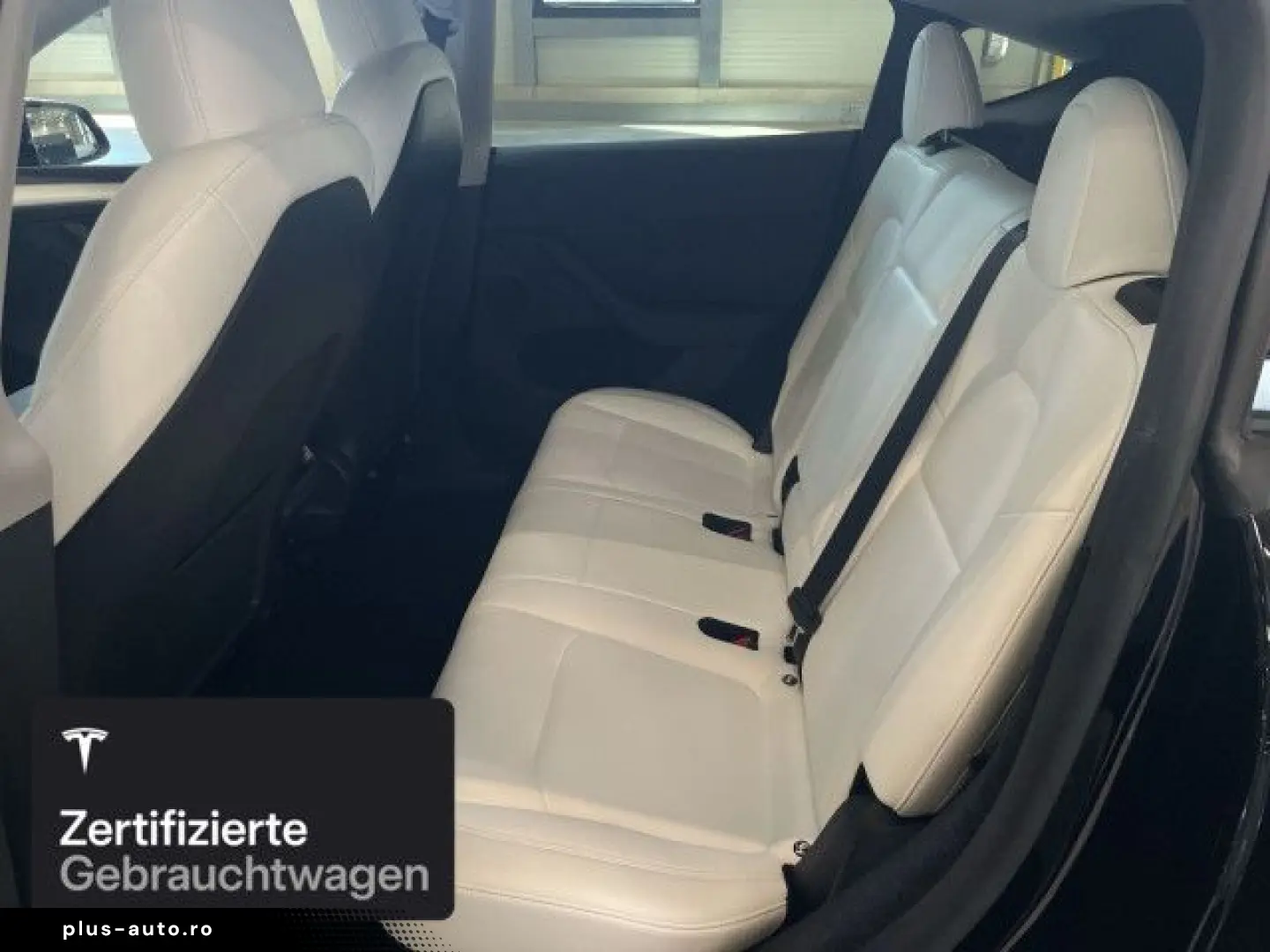 TESLA Model Y Performance