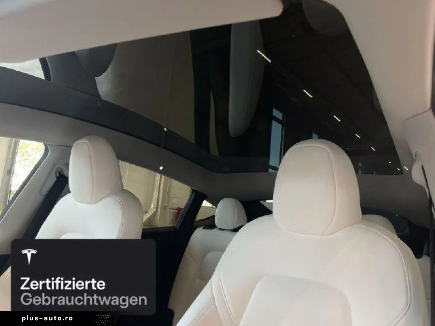 TESLA Model Y Performance