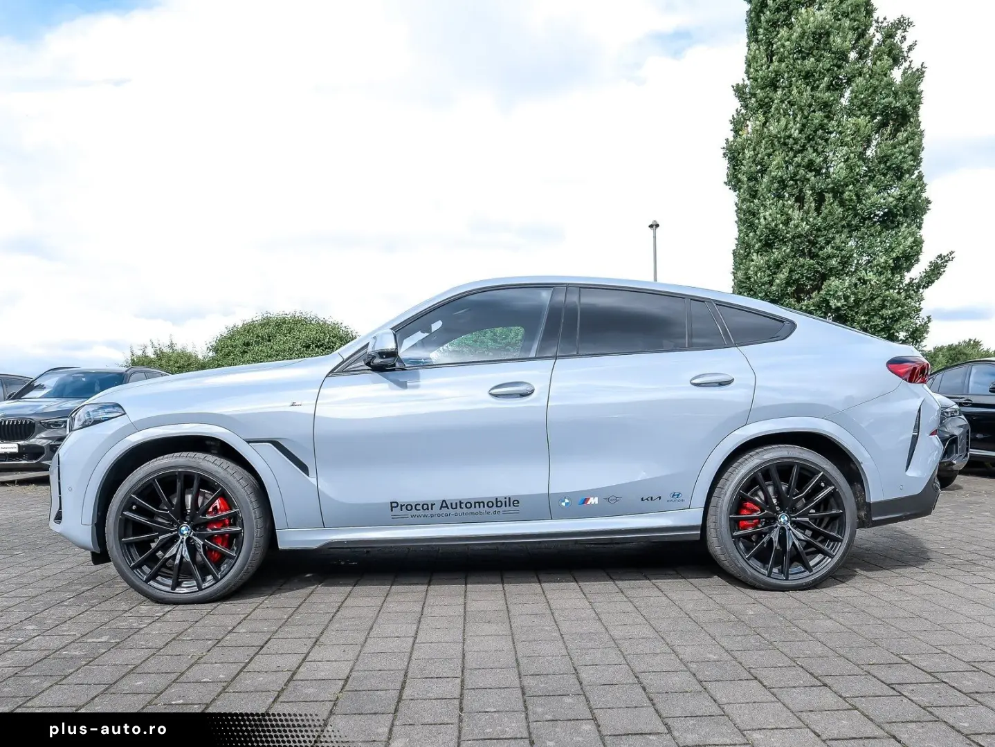 BMW X6 xDrive30d M Sport HUD PANO RFK NAVI LED PDC V