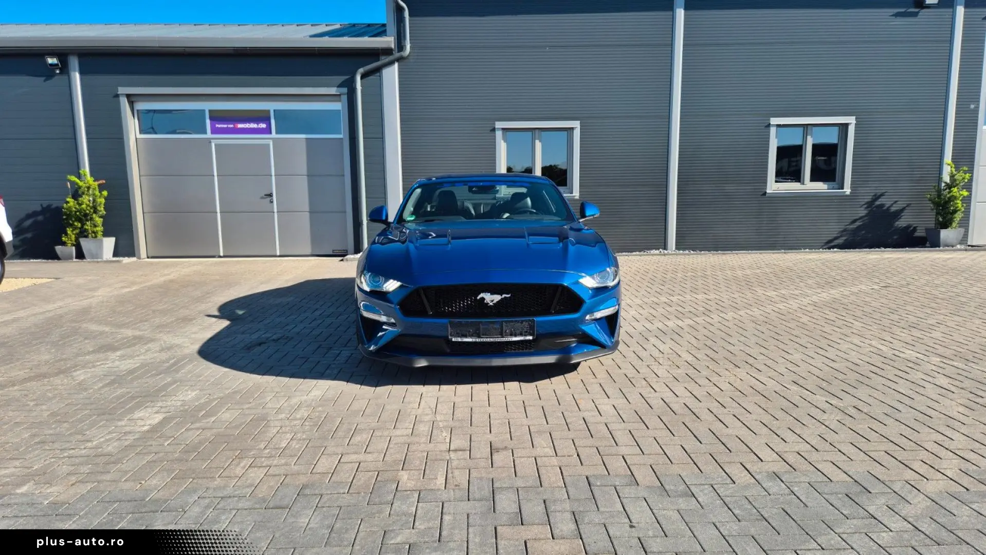 FORD Mustang STEEDA Q500 Enforcer   Garantie