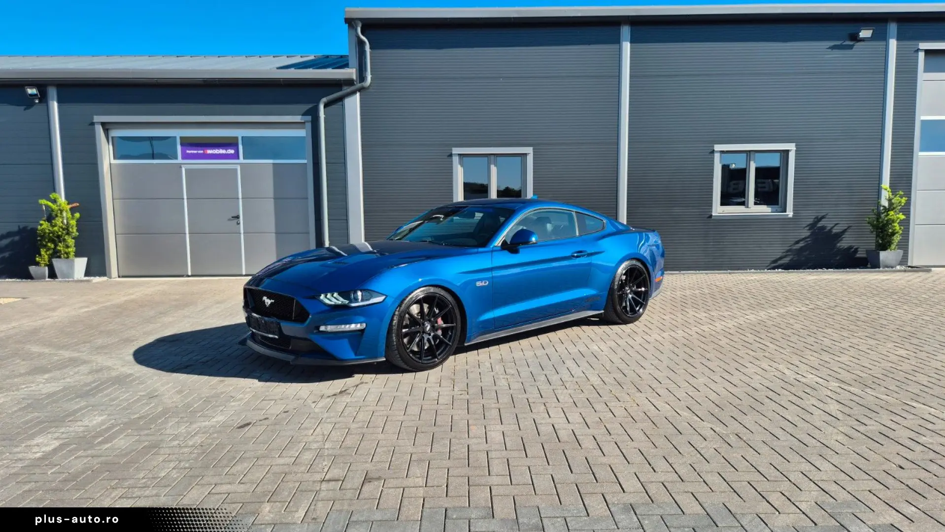 FORD Mustang STEEDA Q500 Enforcer   Garantie