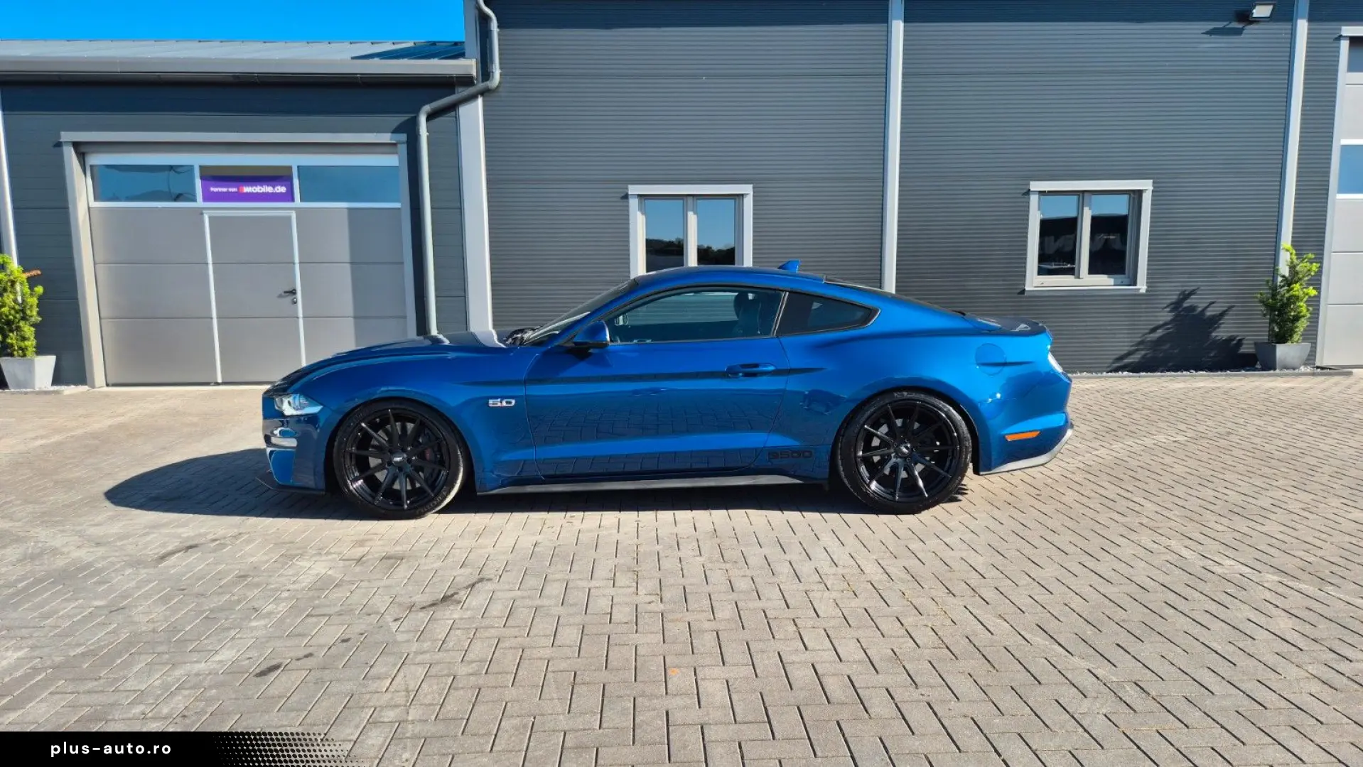 FORD Mustang STEEDA Q500 Enforcer   Garantie