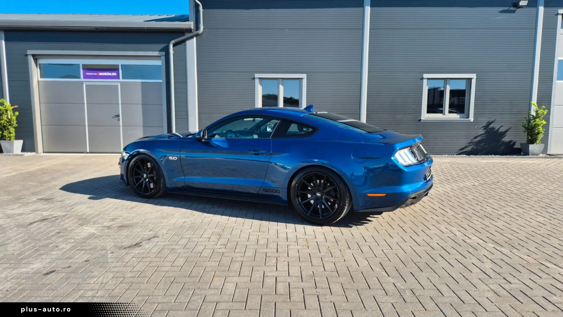 FORD Mustang STEEDA Q500 Enforcer   Garantie