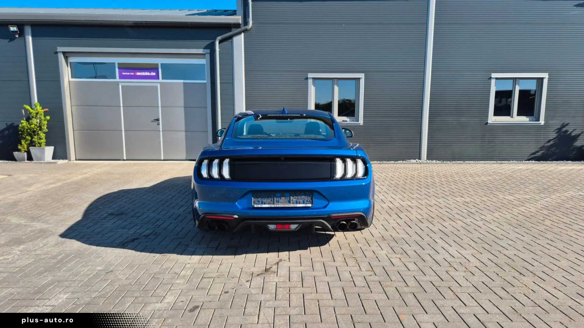 FORD Mustang STEEDA Q500 Enforcer   Garantie