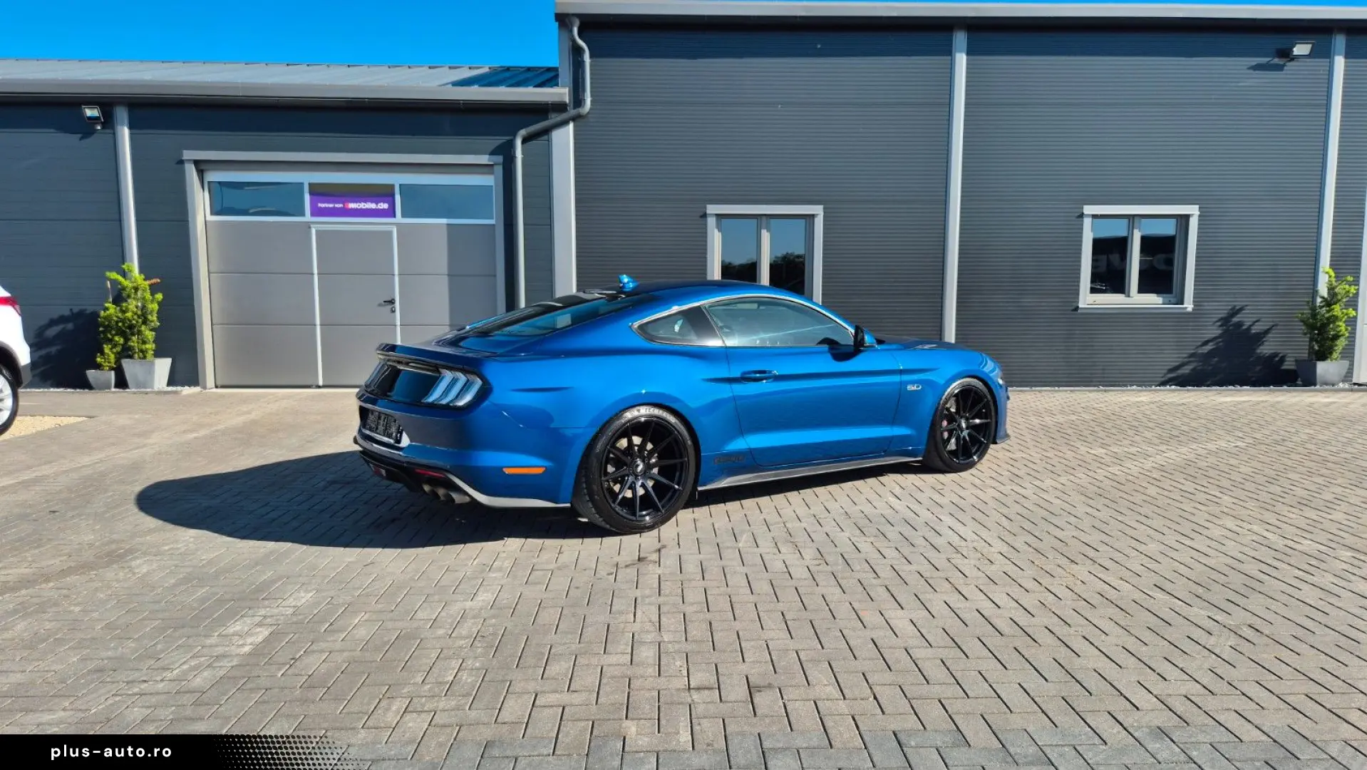 FORD Mustang STEEDA Q500 Enforcer   Garantie