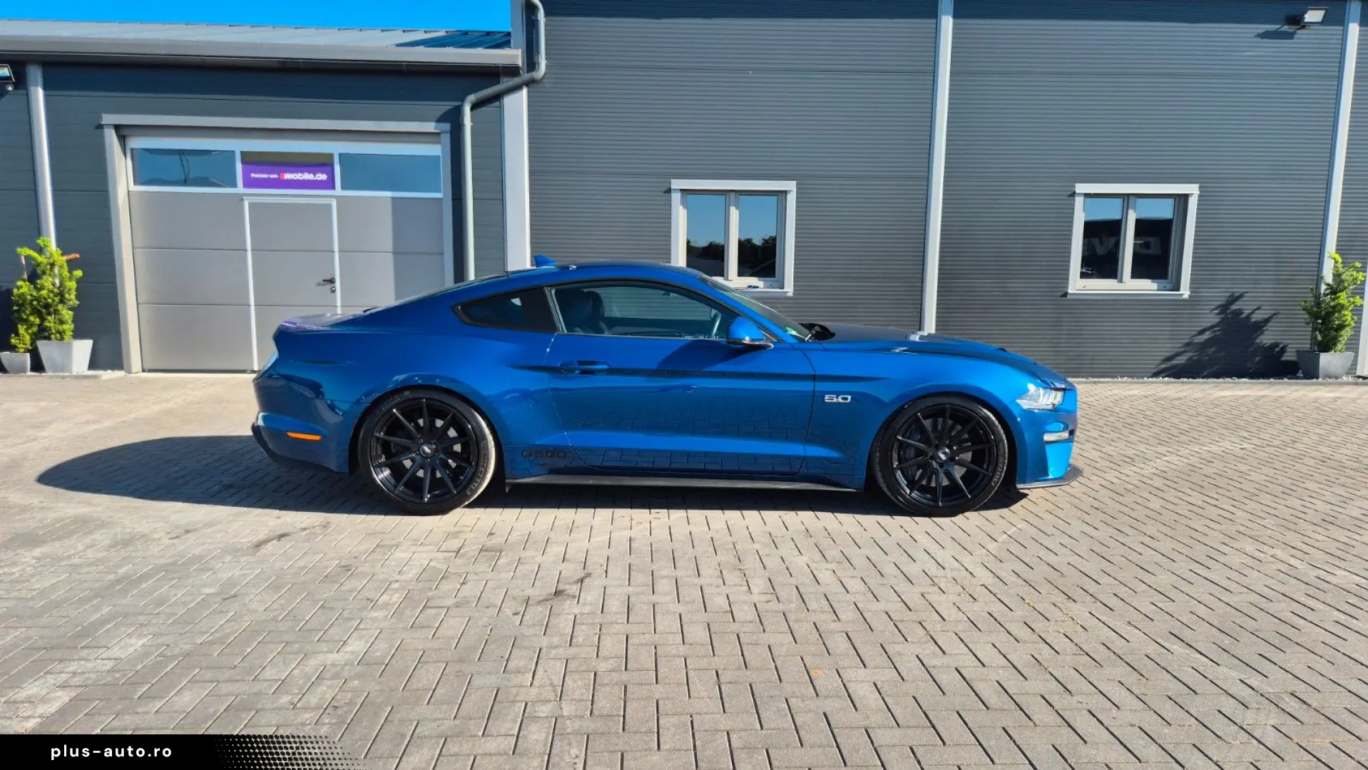 FORD Mustang STEEDA Q500 Enforcer   Garantie