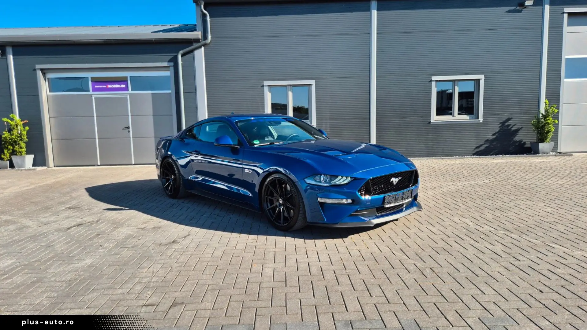 FORD Mustang STEEDA Q500 Enforcer   Garantie