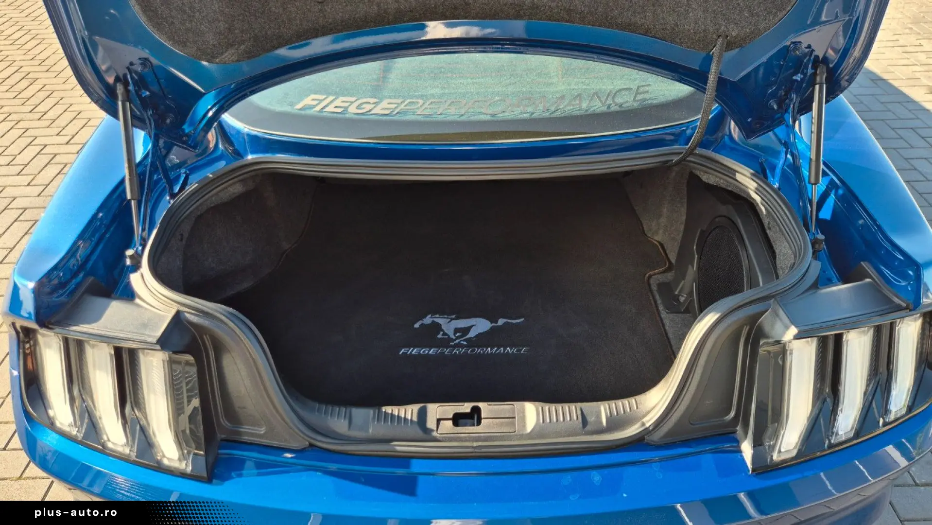 FORD Mustang STEEDA Q500 Enforcer   Garantie