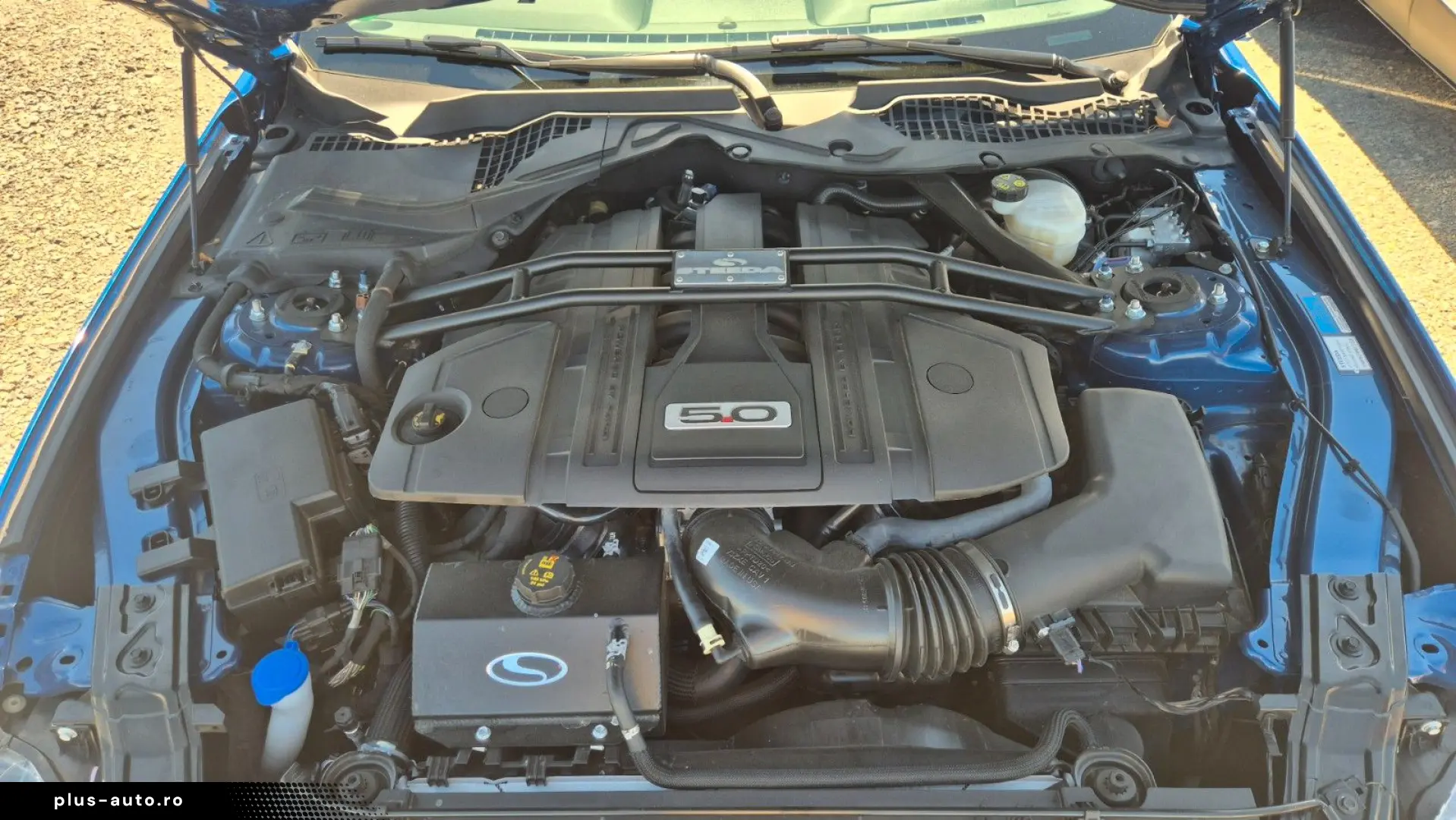 FORD Mustang STEEDA Q500 Enforcer   Garantie