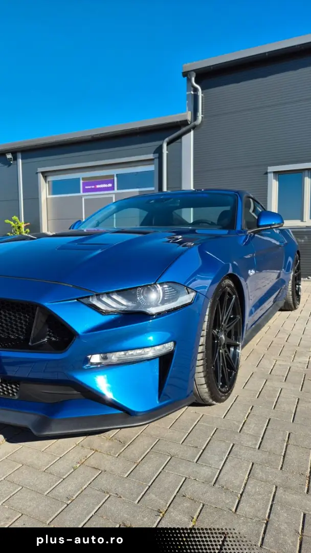 FORD Mustang STEEDA Q500 Enforcer   Garantie