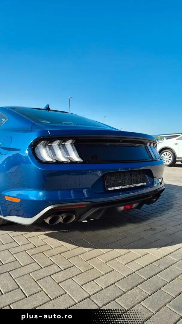 FORD Mustang STEEDA Q500 Enforcer   Garantie