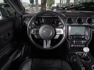 FORD Mustang Mach 1 5.0 Ti-VCT V8  RECARO MAGNERIDE