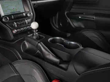 FORD Mustang Mach 1 5.0 Ti-VCT V8  RECARO MAGNERIDE