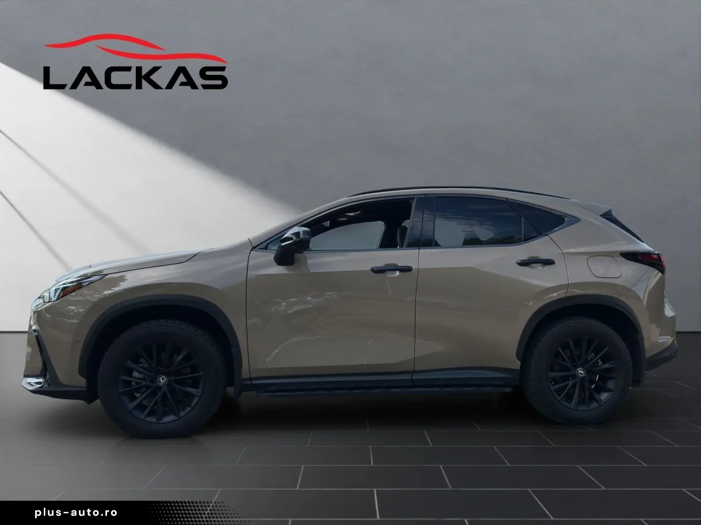 LEXUS NX 350h Overtrail E-FOUR