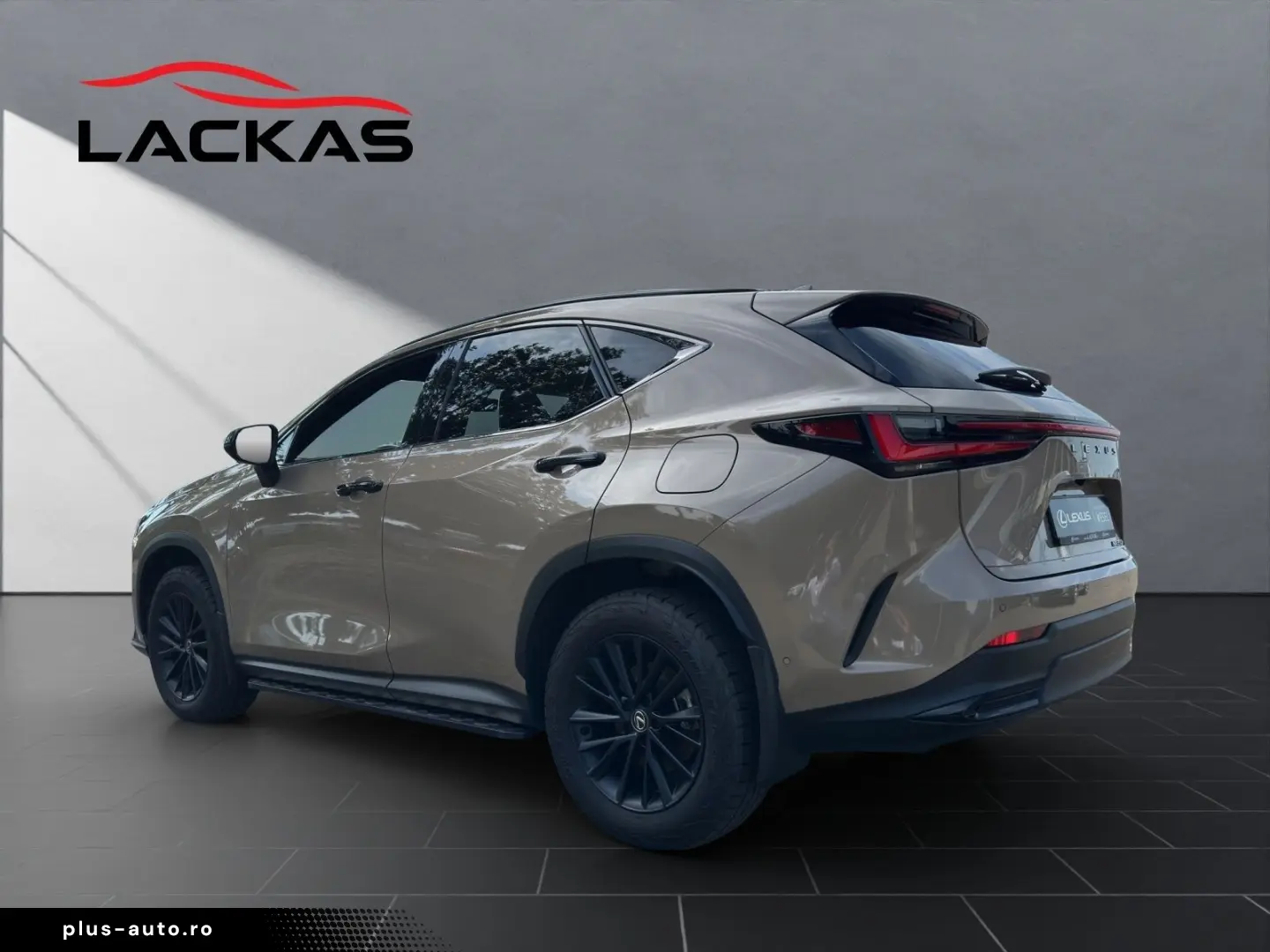LEXUS NX 350h Overtrail E-FOUR