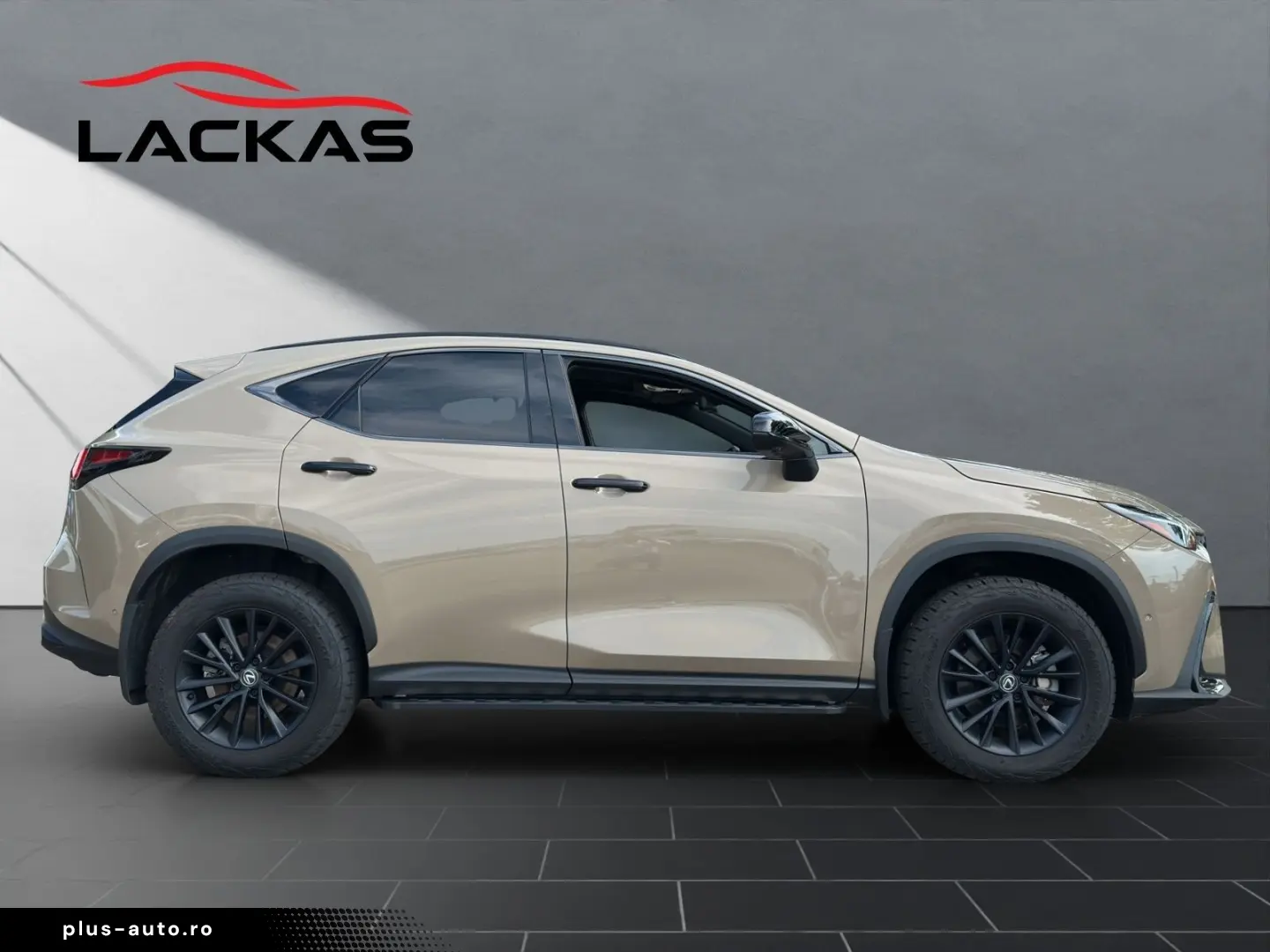 LEXUS NX 350h Overtrail E-FOUR