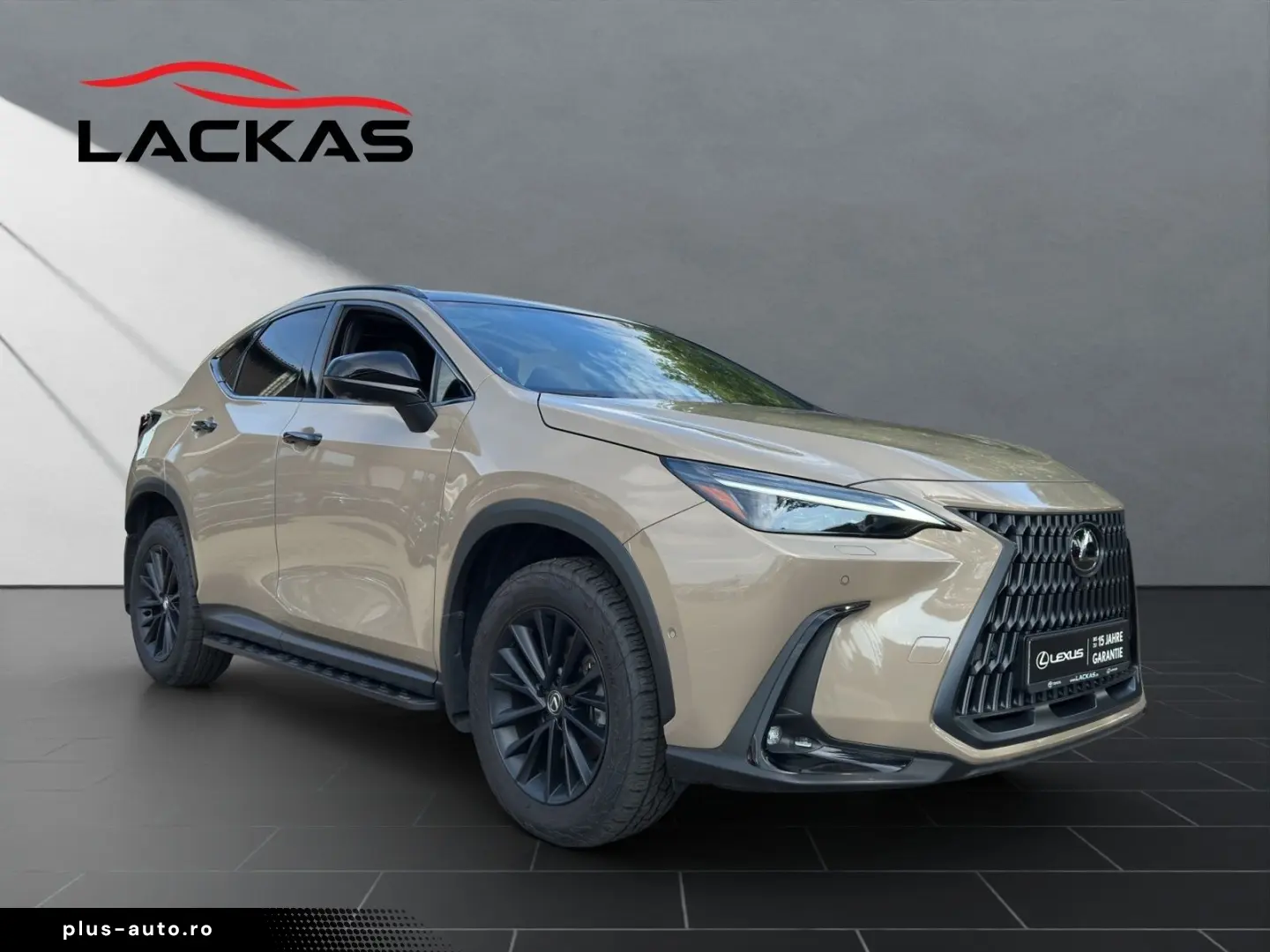 LEXUS NX 350h Overtrail E-FOUR